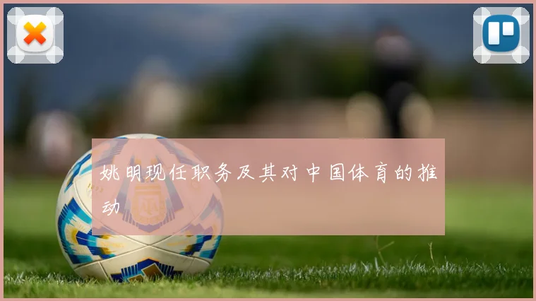 姚明现任职务及其对中国体育的推动