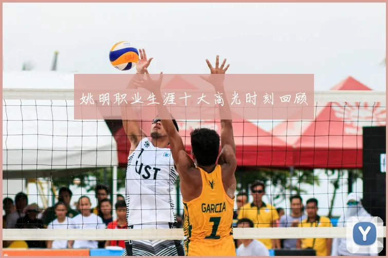 姚明职业生涯十大高光时刻回顾