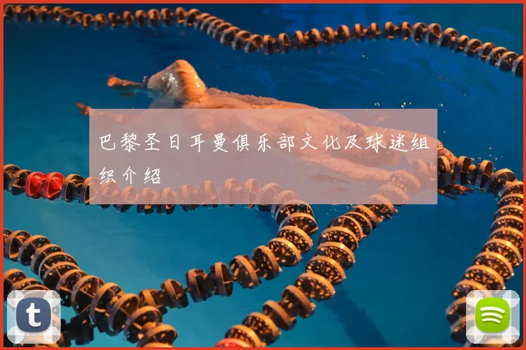 巴黎圣日耳曼俱乐部文化及球迷组织介绍